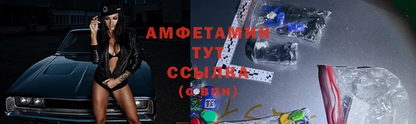 молекула духа Арсеньев