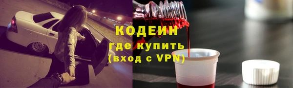 молекула духа Арсеньев