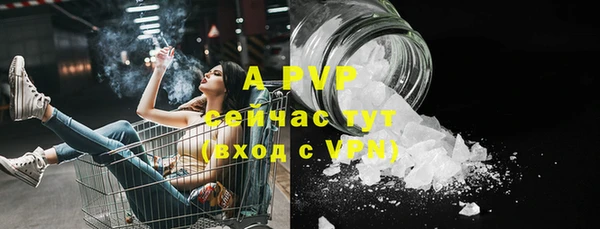 молекула духа Арсеньев
